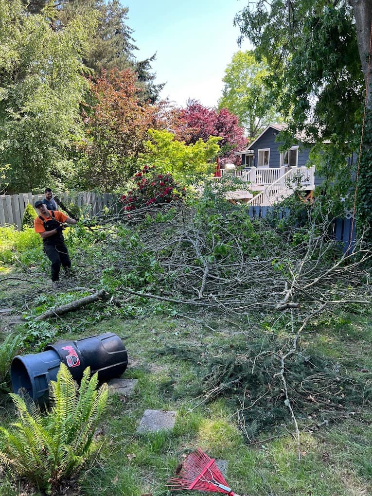 Tree Services In Mercer Island